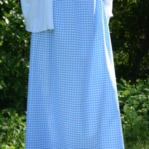 sky blue gingham skirt, grove background